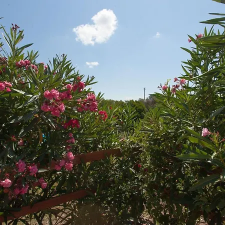 Paolina, Private Pool, Large Shady Patio, Bbq