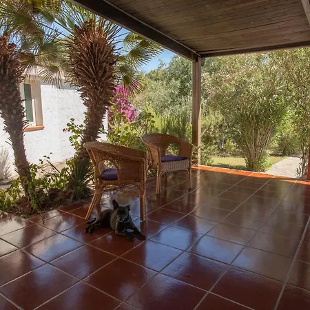 Paolina, Private Pool, Large Shady Patio, Bbq Calasetta