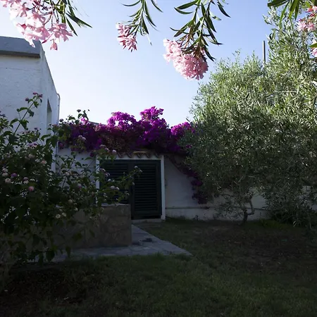 Villa Paolina, Private Pool, Large Shady Patio, Bbq Calasetta